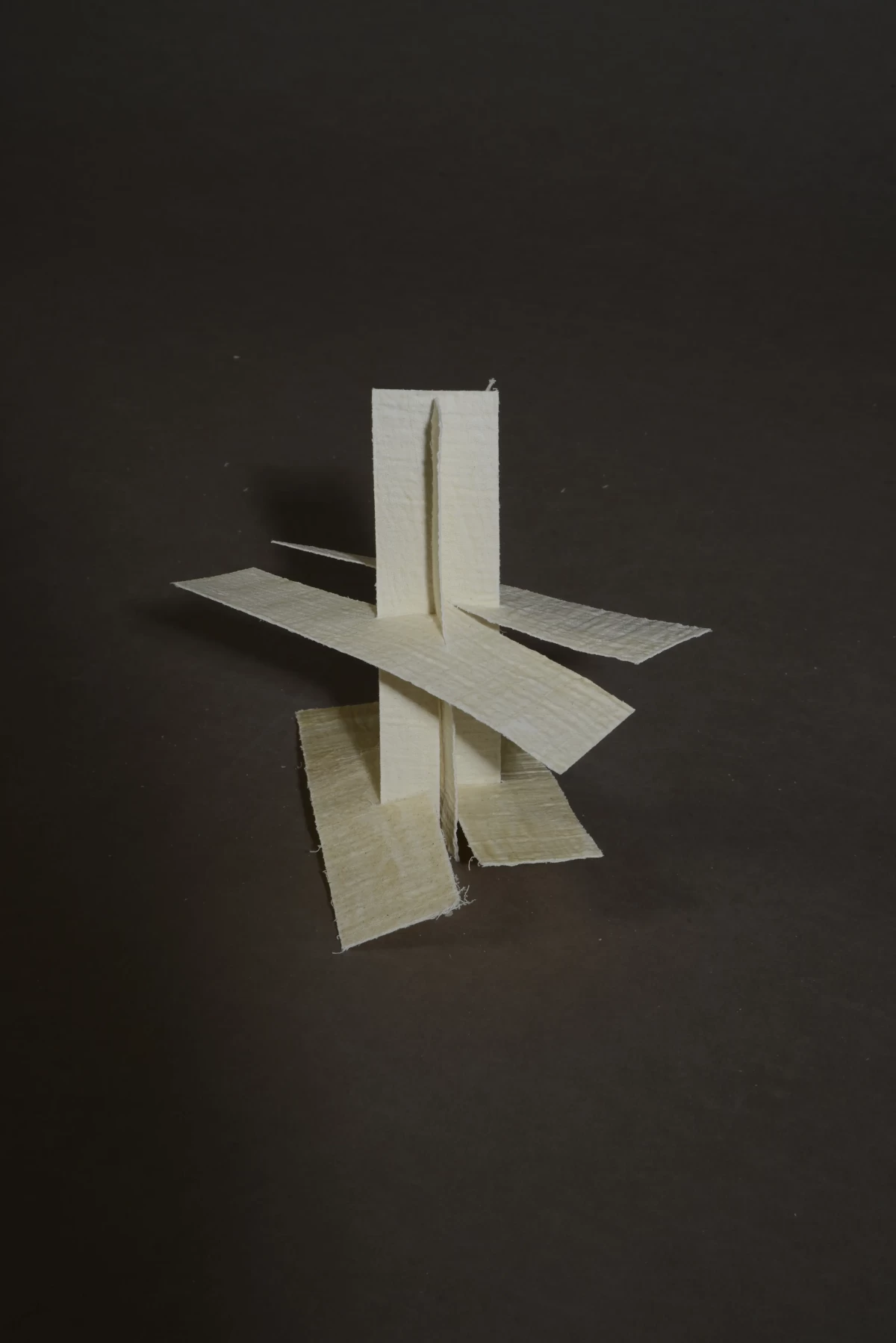 THE FOLD REMEMBERS