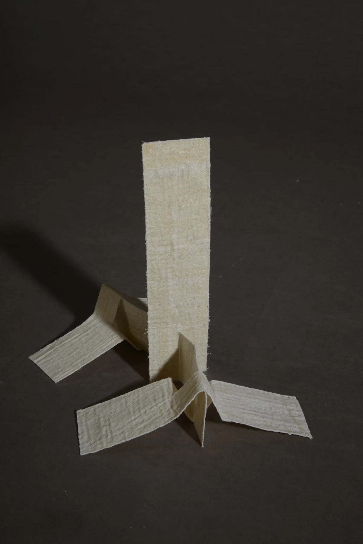 THE FOLD REMEMBERS
