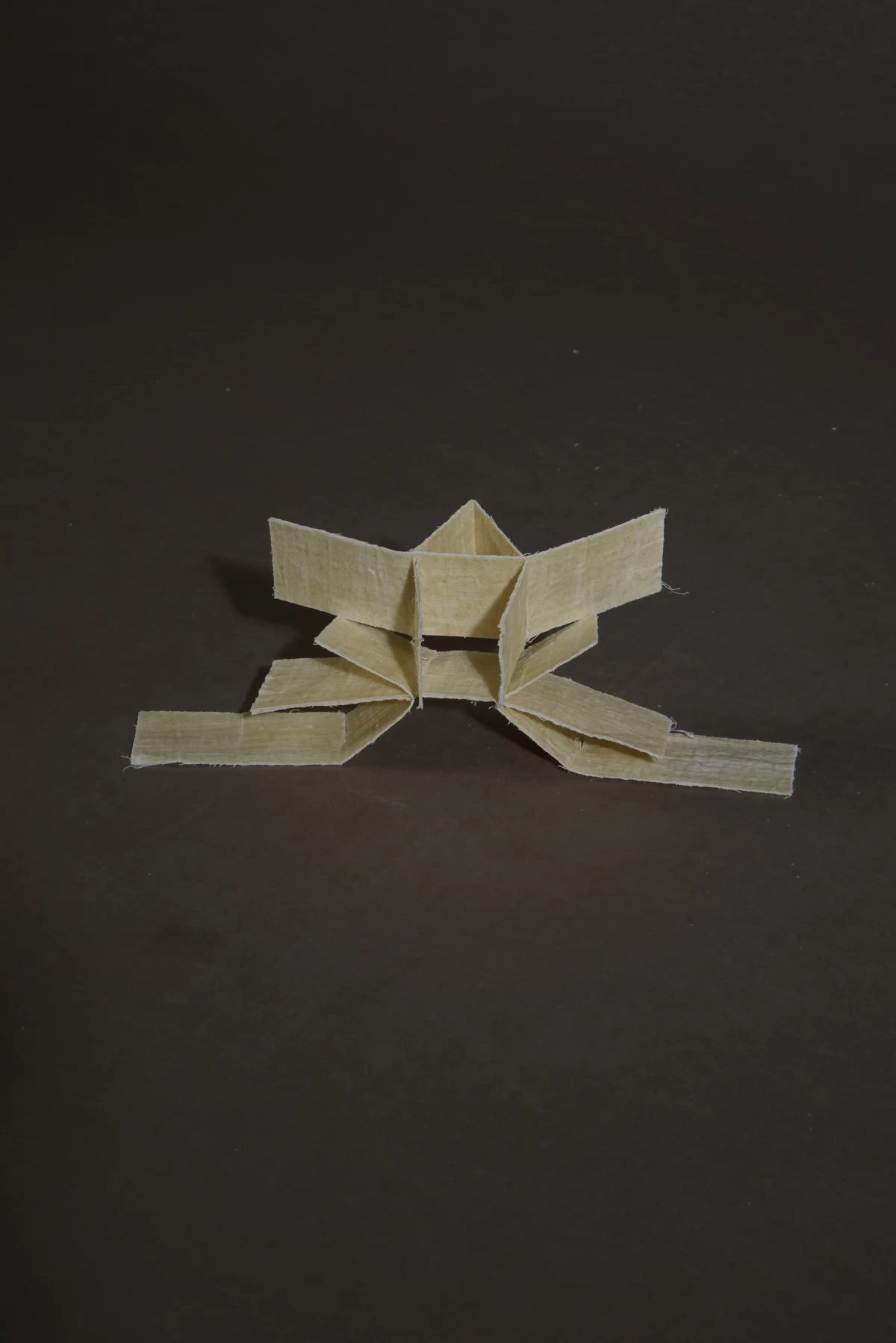 THE FOLD REMEMBERS