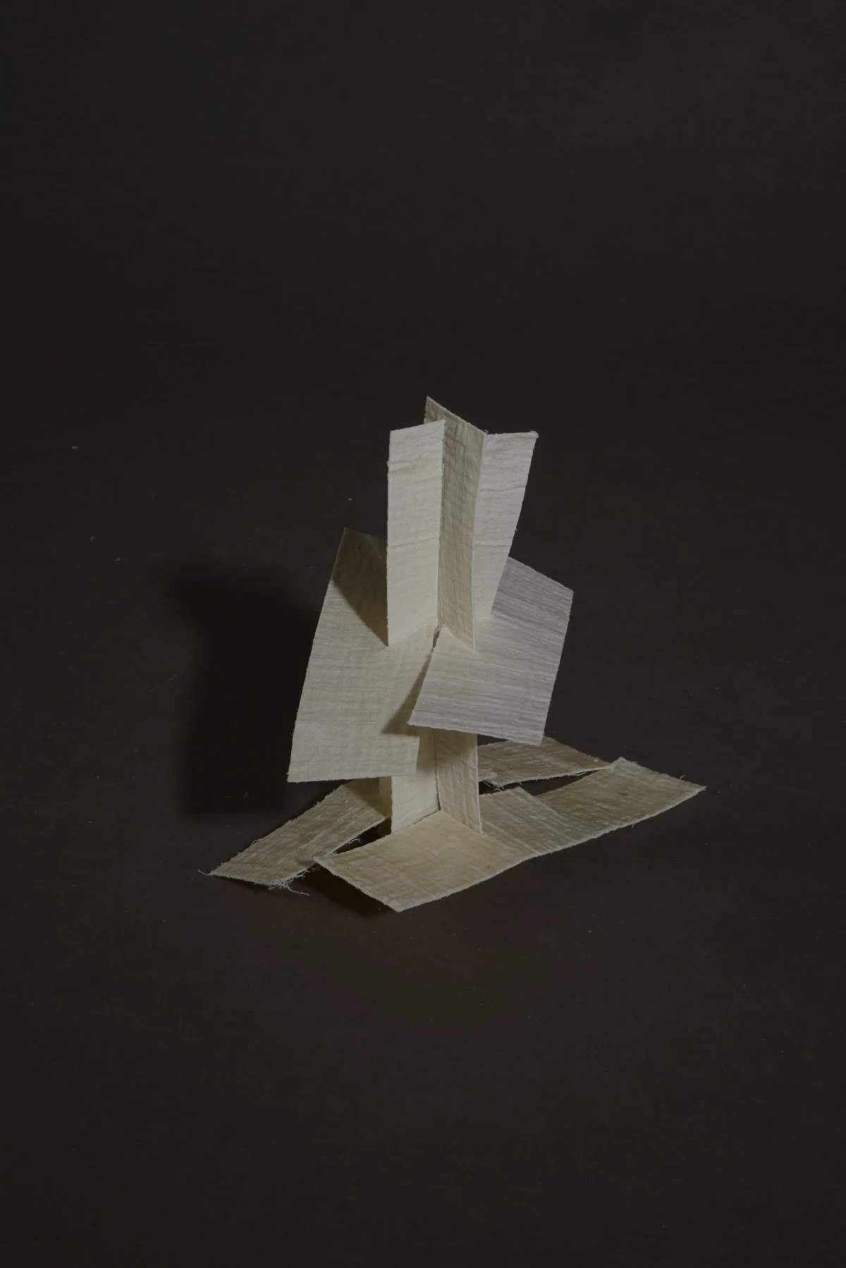 THE FOLD REMEMBERS