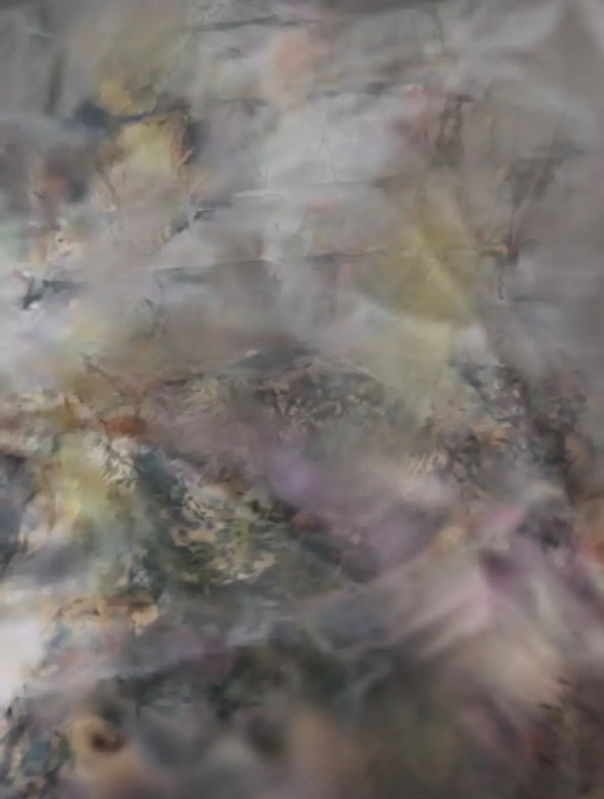 dispay cast_02 - digital image collage composed of stiffened textiles and digital overlay - zoe bilgeri/ 2025/ Zurich